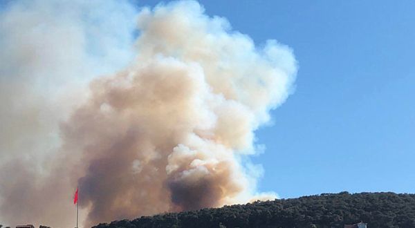 Heybeliada'da orman yangını: 3 gözaltı