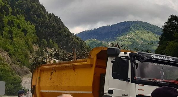Cengiz İnşaat, Bakan İsmailoğlu'nun ziyareti öncesi kesilen ağaçları taşıdı