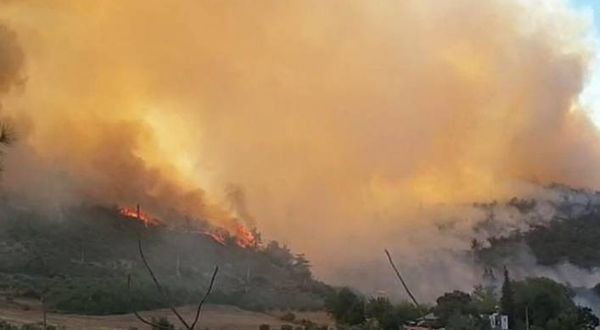 Osmaniye'de orman yangını: Karatepe Arslantaş Milli Parkı da tehlikede