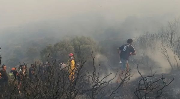 Datça'da makilik ve zeytinlik alanda yangın