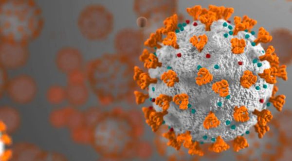 Koronavirüs antikorları altı aya kadar devam edip yeniden enfeksiyon tehlikesini azaltıyor