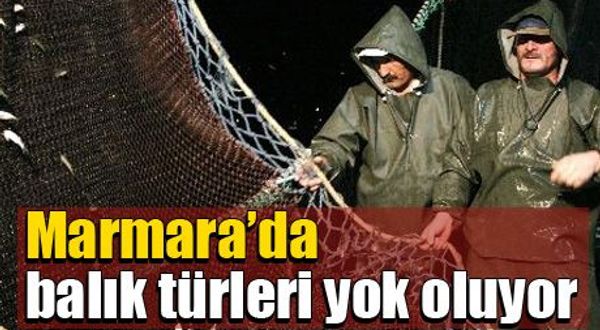 Marmara Denizi'nde büyük tehlike!