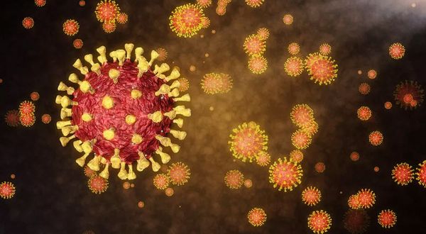 Koronavirüsün yeni bir varyantı daha ortaya çıktı