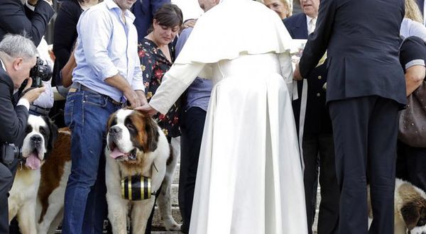 Papa: Çocuk yerine evcil hayvan sahibi olmak bizi insanlığımızdan uzaklaştırıyor