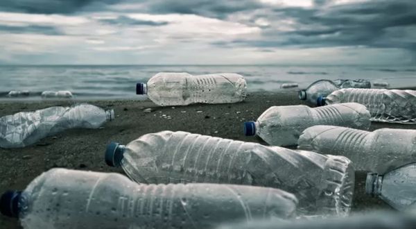 OECD: Dünya genelinde plastik atıkların sadece yüzde 9'u geri dönüştürülebiliyor