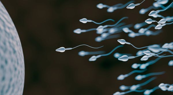 Savcılık, 'Spermlerim çalındı' şikayeti hakkında takipsizlik kararı verdi