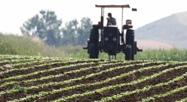 HDP'li Turan: Son 20 yılda 2 milyon çiftçi mesleğini bıraktı