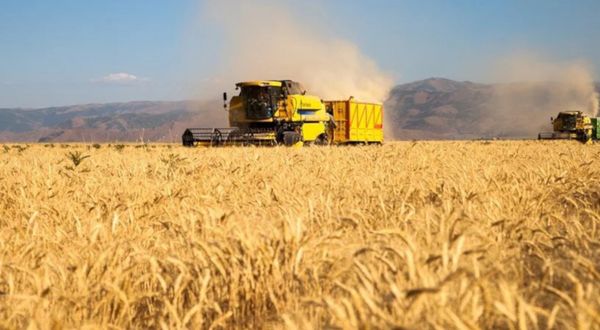 Ukrayna'dan tahıl koridoru anlaşması: İmzaların yarın İstanbul'da atılması bekleniyor