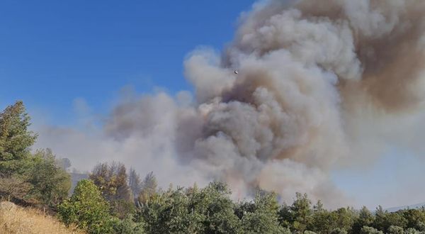 Balıkesir, İzmir ve Aydın'da orman yangını