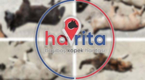 İstanbul Barosu 'Havrita'ya karşı harekete geçiyor