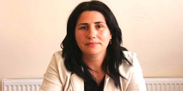 HDP'li Özanlı’dan o iddialara yanıt: Gıda maddeleri barış çadırı içindi