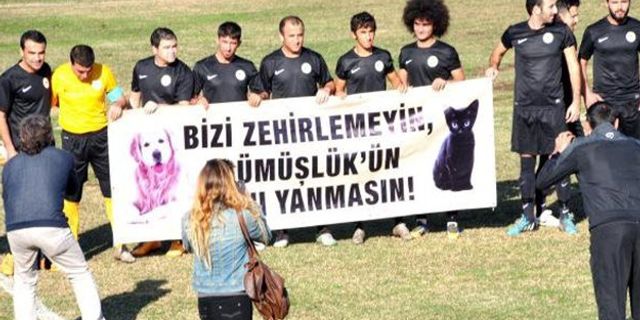 Gümüşlük Gençlikspor, sokak hayvanlarının zehirlenmesini protesto etti