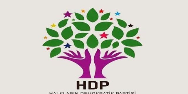 HDP, 1 Kasım seçiminin iptali için Anayasa Mahkemesi'ne başvurdu