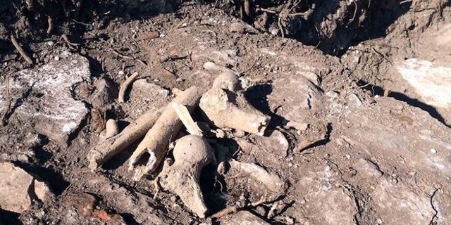 Tarihi Ermeni kilisesinin bahçesinde insan kemikleri bulundu