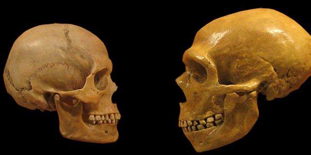 Şizofreni insanlar Neandertallerden ayrıldığında ortaya çıktı