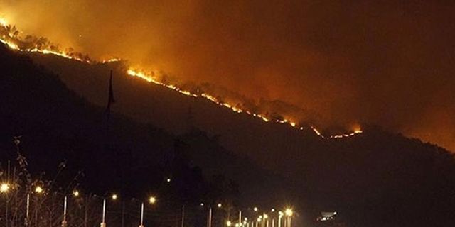 Trabzon Sürmene'de orman yangını
