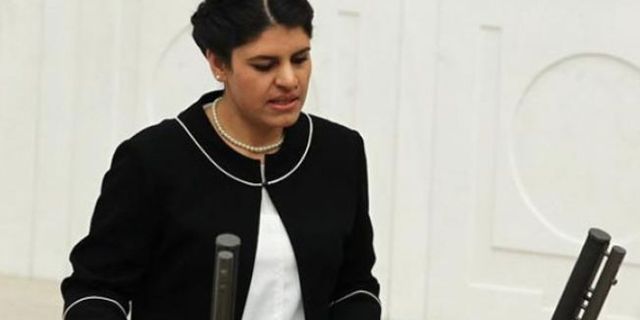 HDP'li Dilek Öcalan: İmralı’daki tecridi kırmak için 'hayır' diyeceğiz