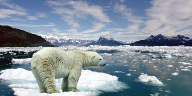 Kuzey Kutbu'nda 'eriyen buzulları yeniden dondurma' projesi
