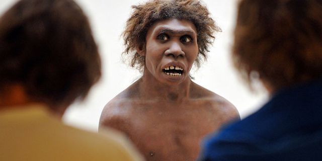 Neandertaller, hala kimi insanların hangi hastalıklara yakalanacağını, boyunun uzunluğunu etkileyebiliyor