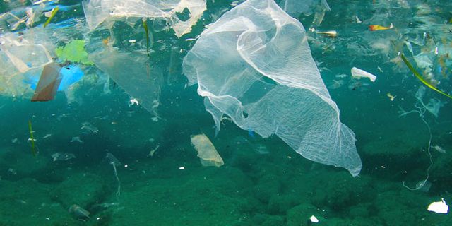 BM: Okyanuslardaki plastik atık sayısı balık sayısını geçebilir