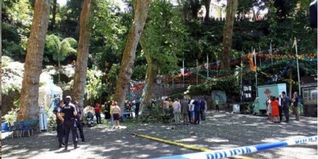 Festival alanına ağaç devrildi: 11 ölü