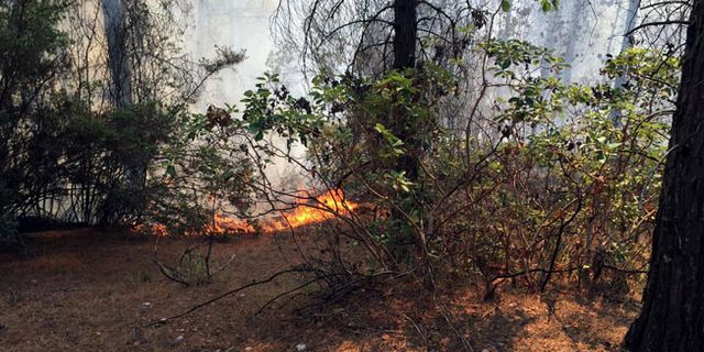 Kaş'ta orman yangını: 2.5 hektar alan zarar gördü