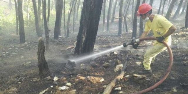 Kazdağları'ndaki ormanı yangını kundakçısı yakalandı