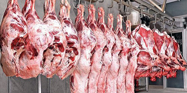 Bosna'dan ithal edilen 20 ton et hastalıklı çıktı