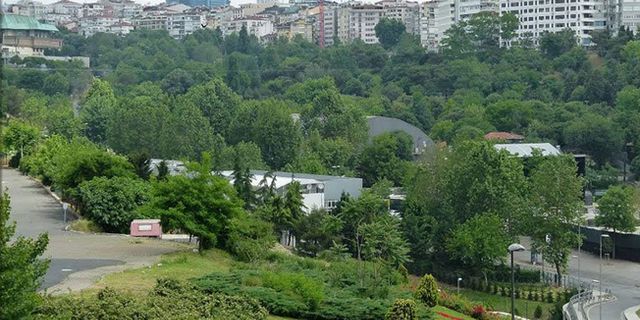 Swissotel, Maçka Parkı çevresindeki ağaçların kesilmesi için başvurdu