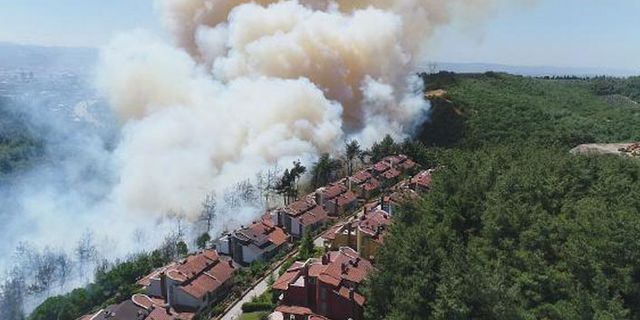 Bursa'da yangın: Alevler evlere ilerliyor