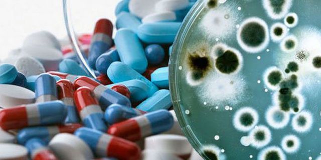 OECD: Antibiyotiklere dirençli bakteriler nedeniyle 2,4 milyon insan ölebilir