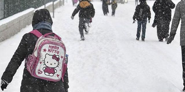 Kar yağışı nedeniyle okulların tatil edildiği yerler