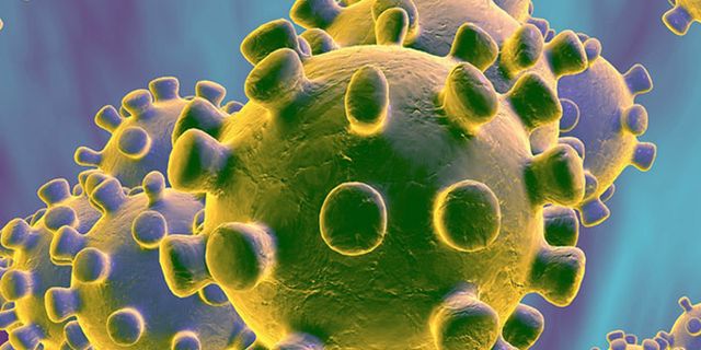 Yeni Corona virüsü: Nasıl ortaya çıktı, belirtileri neler, nasıl korunulur?