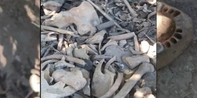 Mağarada bulunan kemikler: Tarihi eser değil, babamı arıyorum