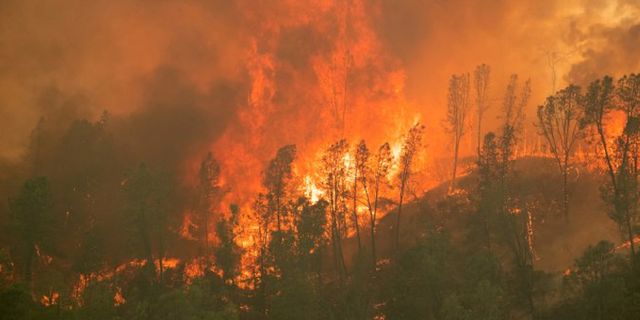 ABD'de orman yangınları sürüyor: Ölü sayısı 15'e çıktı