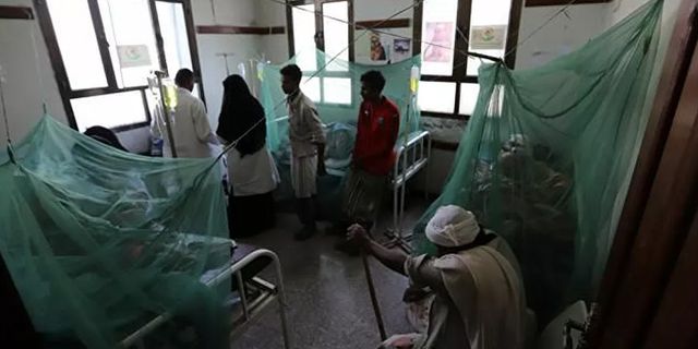 Dünya Sağlık Örgütü: Yemen'in kuzeyinde 9 ayda dang hummasından 76 kişi öldü