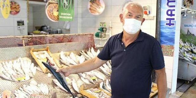 Marmara'da müsilaj: Balık almak isteyen kişiler 'Marmara balığı mı' diye soruyor'
