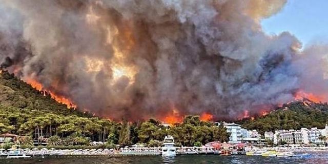 Orman yangınları: 4 kişi yaşamını yitirdi