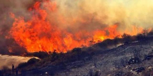 112 orman yangınından 107'si kontrol altına alındı