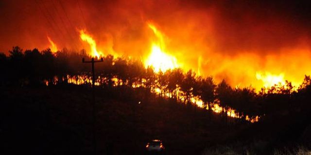 Bakan Pakdemirli: 7 ilde 16 yangın devam ediyor