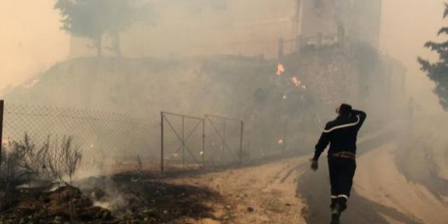 Cezayir'de, orman yangınlarına müdahalede 42 asker hayatını kaybetti
