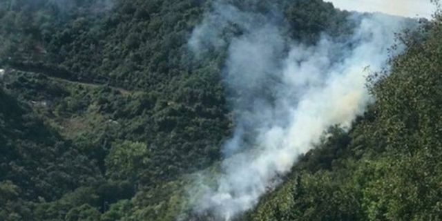 İstanbul Sarıyer'de orman yangını