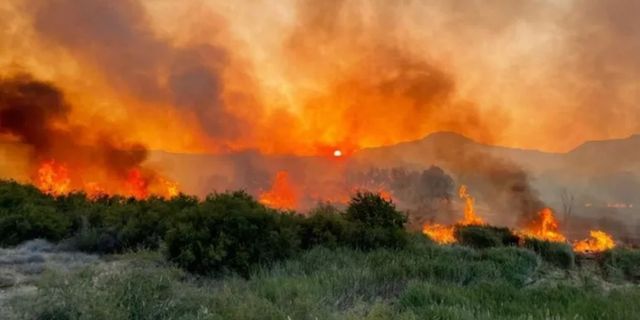 Orman yangınları 7'nci gününde: 5 ilde 10 yangın devam ediyor