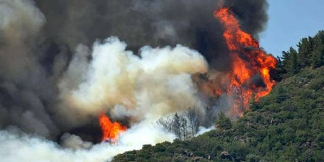 Orman yangınlarıyla ilgili paylaşımlar nedeniyle 66 kişi hakkında adli işlem başlatıldı