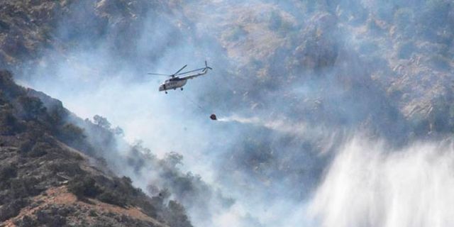 Bitlis'te 4 gün süren yangınında 40 hektar alan zarar gördü