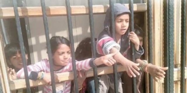 AKP Şanlıurfa Belediyesi, dilenen çocukları hapsetti!