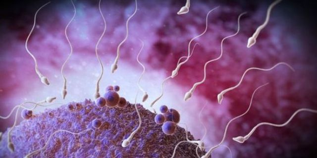 İngiltere'de hükümet desteğiyle sperm bankası açıldı