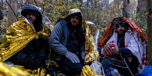 Sığınmacılar Belarus-Polonya sınırını geçmeye çalışıyor