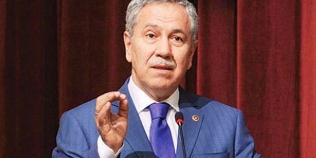 Bülent Arınç: Reisçi geçinip Tayyip Bey'e zarar veriyorlar