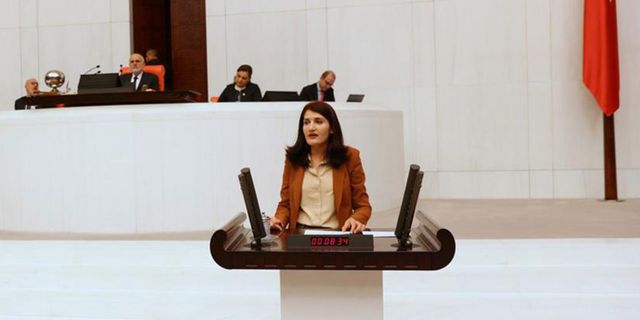 Komisyon HDP'li Semra Güzel'e savunma yapması için süre verdi